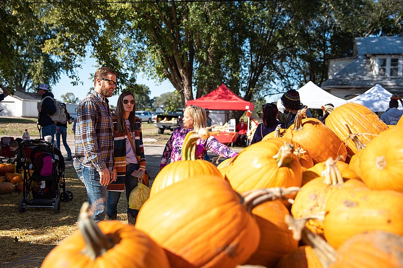While some festival-goers took photos with the piles of pumpkins in 2019 at the Hartsburg Pumpkin Festival, others carefully picked through to find the perfect one. Dozens of pumpkins lay on the ground or in carts at the Hartsburg Pumpkin Festival.
