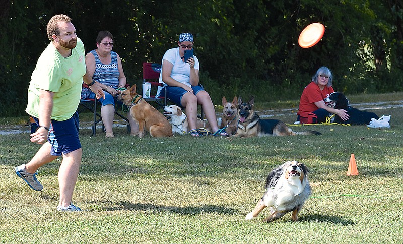 Jacob Robinett tosses a disc in the air as his dog, Jamison, tracks it during Sunday's Toss and Fetch League in the North Jefferson City recreation area. The league is sponsored by Smokin' Guns Working Dog Club.