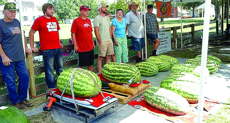 Contestants await the 2016 watermelon weigh-off at Old Washington Farmer's Market.