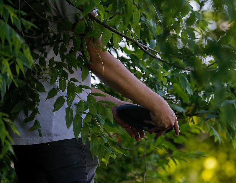 <p>Chris Larson readies himself to make a soft toss from the edge of the fairway toward the basket at the ninth hole at the Jefferson City Disc Golf Membership Tournament in August at the Joseph C. Miller Disc Golf Course in Apache Flats. The 13th annual Jefferson City Open is set for Saturday at the Joseph C. Miller Disc Golf Course. News Tribune file photo</p>