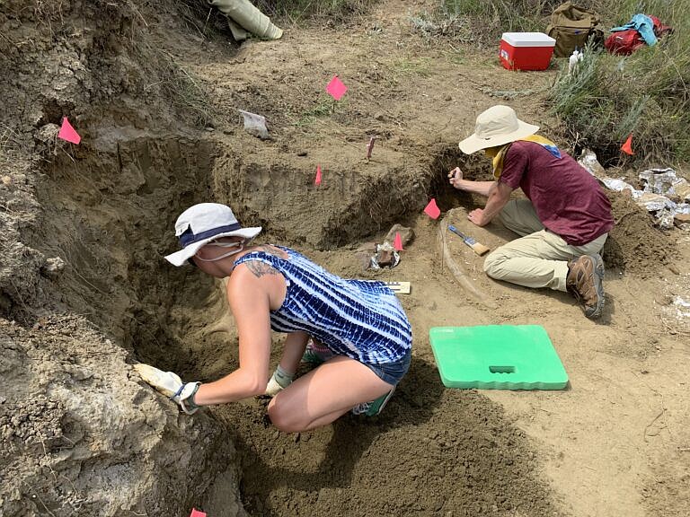 <p>Courtesy of Westminster College</p><p>Westminster College students Sophia Hessenkemper, left, and Tim Burridge, right, along with professor David Schmidt will discuss the triceratops skull their group found in South Dakota.</p>