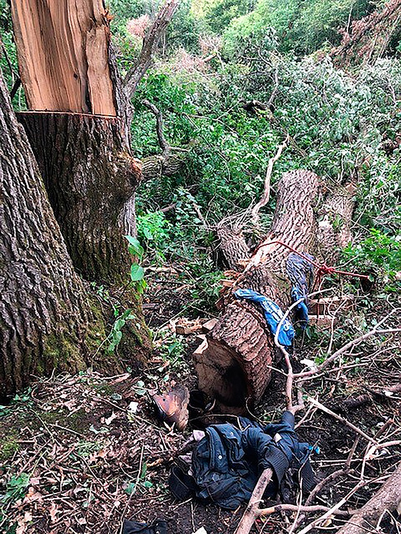 Man Rescued After 4 Days Trapped Under Fallen Tree