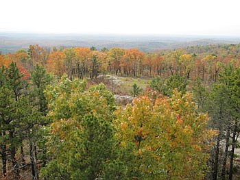 This photo shows trees in fall color at Peck Ranch Conservation Area in southeastern Missouri.