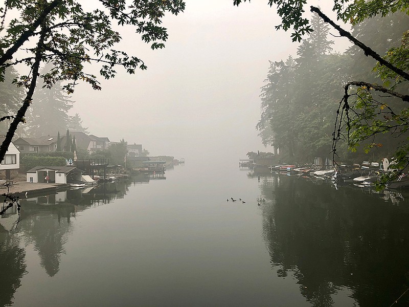 A family of ducks swims on Oswego Lake, which is almost completely obscured by wildfire smoke, in Lake Oswego, Ore. on Monday, Sept. 14, 2020. The entire Portland metropolitan region remains under a thick blanket of smog from wildfires that are burning around the state and residents are being advised to remain indoors due to hazardous air quality. (AP Photo/Gillian Flaccus)
