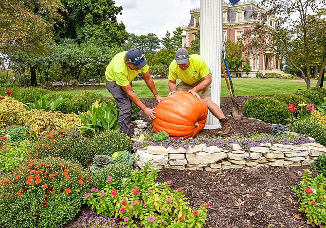 Jake Otto, left, and Payton Turpin situate a 200-pound pumpkin Tuesday as they and fellow crew members prepare the Missouri Governor's Mansion lawn for the upcoming fall festival activities.