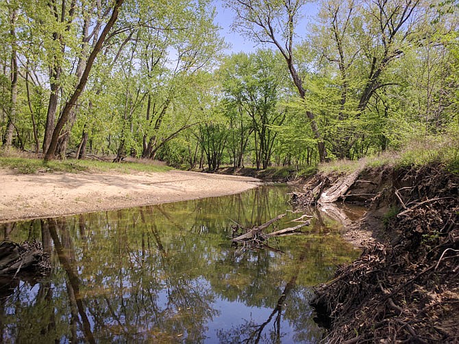 Missouri's creeks and rivers aren't just home to large game fish such as catfish — they also host a veritable rainbow of fascinating small fish. A creek such as Tavern Creek in Callaway County could host anything from killifish to minnows or darters to madtoms.