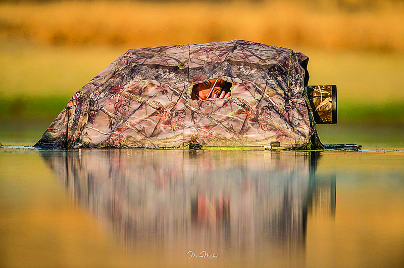 Photographer Julie Coker Tidwell uses a floating blind to get candid shots of water birds. 