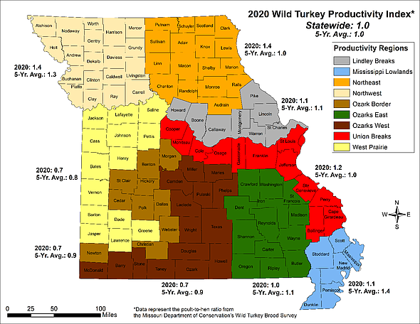 <p>Courtesy of Missouri Department of Conservation</p><p>This map shows a 2020 index (poult-to-hen ratio) of Missouri’s wild turkey production by turkey productivity region. Data were obtained during MDC’s wild turkey brood survey and are compared to the previous five-year averages.</p>