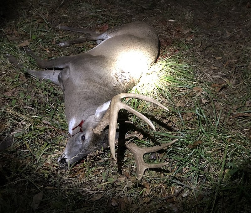 The Missouri Department of Conservation is investigating the poaching of this white-tailed deer near the Fulton YMCA on Monday, Oct. 19, 2020.
