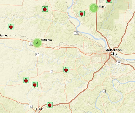 Launched this spring by the University of Missouri Extension, the Missouri Food Finder online tool connects customers with local food sources. (Screenshot from mofoodfinder.org)