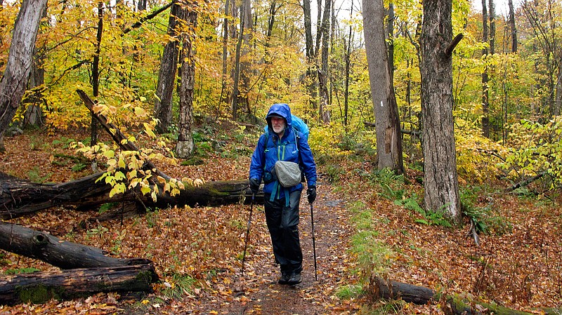 Artist Rob Mullen walks down Long Trail, the country's oldest long distance trail, in Manchester, Vt., on Tuesday, Oct. 13, 2020. Mullen was nearing the end of his 272-mile month-long hike down the length of Vermont, painting along the way. (AP Photo/Lisa Rathke)