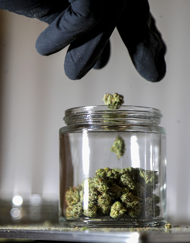 FILE - In this March 22, 2019 file photo, shows marijuana buds being sorted into a prescription jar at Compassionate Care Foundation's medical marijuana dispensary in Egg Harbor Township, N.J. Voters in four states could embrace broad legal marijuana sales on Election Day, setting the stage for a watershed year for the industry that could snowball into neighboring states as well as reshape policy on Capitol Hill. The Nov. 3, 2020, contests will take place in markedly different regions of the country, New Jersey, Arizona, South Dakota and Montana and approval of the proposals would highlight how public acceptance of cannabis is cutting across geography, demographics and the nation's deep political divide. (AP Photo/Julio Cortez, File)