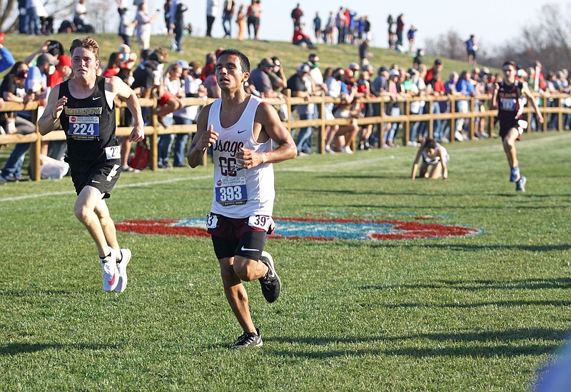Lutheran: St. Charles runner Noah McMullen (background) falls to the ground near the finish line of the Class 3 boys cross country state championship race Thursday at Gans Creek Cross Country Course in Columbia.