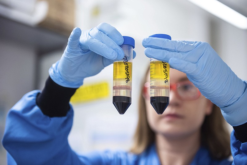 In this undated photo issued by the University of Oxford, a researcher in a laboratory at the Jenner Institute in Oxford, England, works on the coronavirus vaccine developed by AstraZeneca and Oxford University. Pharmaceutical company AstraZeneca said Monday Nov. 23, 2020, that late-stage trials showed its coronavirus vaccine was up to 90% effective, giving public health officials hope they may soon have access to a vaccine that is cheaper and easier to distribute than some of its rivals. (University of Oxford/John Cairns via AP)