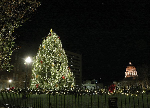 Mansion Christmas trees to arrive Monday - Vimarsana News