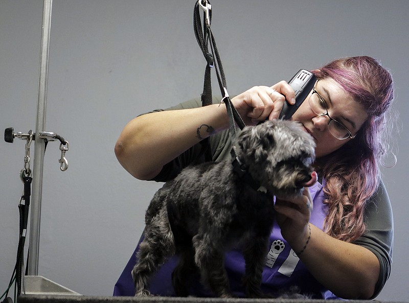 Bows and biscuits dog sales grooming