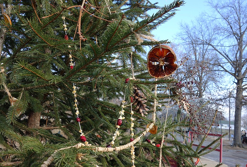 No time to mix your own suet? Dried orange slices or pine cones dipped in peanut butter and rolled in birdseed also make charming edible ornaments for wildlife to enjoy.