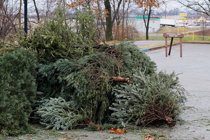 Where, how to safely dispose live Christmas tree | Jefferson City News Tribune