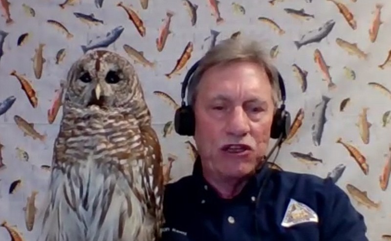 Missouri Department of Conservation naturalist Alan Reed holds up a taxidermied barred owl during a virtual talk on the species. Barred owls are year-round residents in Missouri.