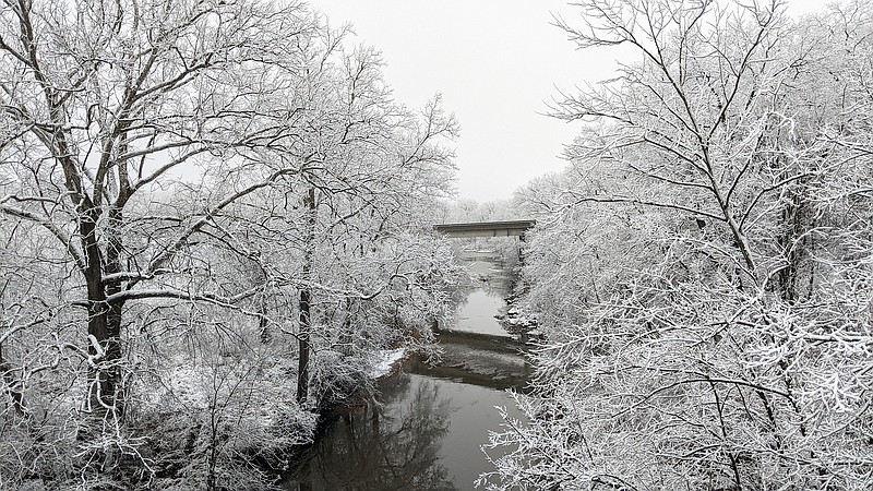 Trees along Auxvasse Creek glisten Sunday evening under a coat of snow and ice. Freezing rain, snow and fog over the course of the weekend made driving conditions hazardous in many parts of the state.