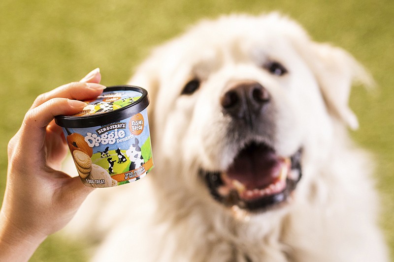 This photo provided by Ben & Jerry’s shows Ben & Jerry’s dog treats.  The venerable Vermont ice cream company said Thursday, Jan. 7, 2021, it’s introducing a line of frozen dog treats, its first foray into the lucrative pet food market. The treats, sold in 4-ounce cups, will arrive in U.S. groceries and pet stores later this month. (Ben & Jerry’s via AP)