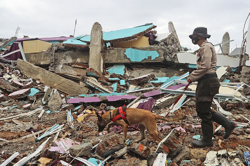 A police officer leads a sniffer dog during a search of victims at the ruin of a building flattened by an earthquake in Mamuju, West Sulawesi, Indonesia, Sunday, Jan. 17, 2021. Rescuers retrieved more bodies from the rubble of homes and buildings toppled by the magnitude 6.2 earthquake while military engineers managed to reopen ruptured roads to clear access for relief goods. (AP Photo/Joshua Marunduh)