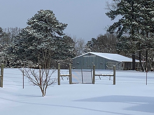 Snow falls on a barn Monday morning in Sevier County, Arkansas. Sevier County received about 6 inches of snow Sunday night and early Monday.