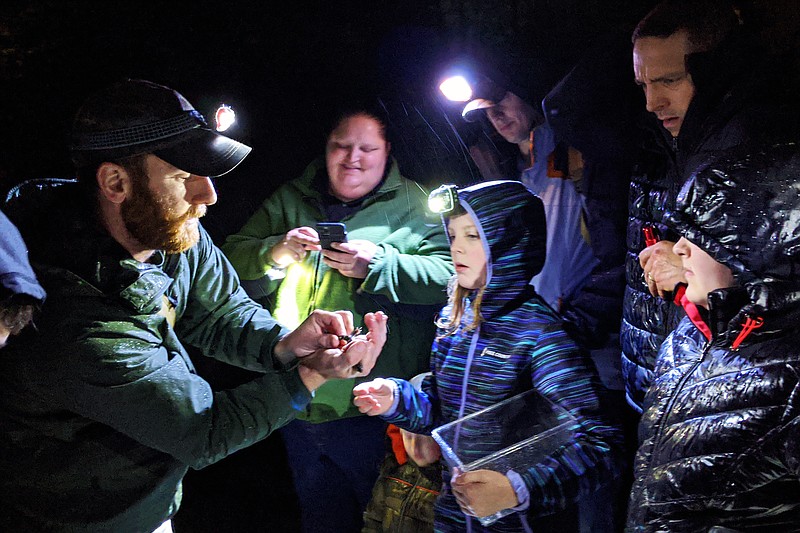 <p>Helen Wilbers/For the News Tribune</p><p>Austin Lambert, left, a naturalist at Runge Nature Center, shows families how to tell whether a salamander is male or female during the center’s annual Salamander Prowl in 2020. Observations made by people who work outside of the science professions can often provide valuable data for biologists and researchers</p>