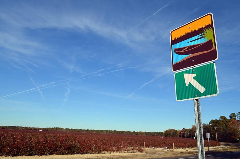 Road sign signaling the Pine Barrens Byway, as seen in front of a field of blueberry bushes in autumn along Nesco Road in Mullica Township, Atlantic County. The byway has been designated a National Scenic Byway. (Paul Leakan/New Jersey Pinelands Commission/TNS)