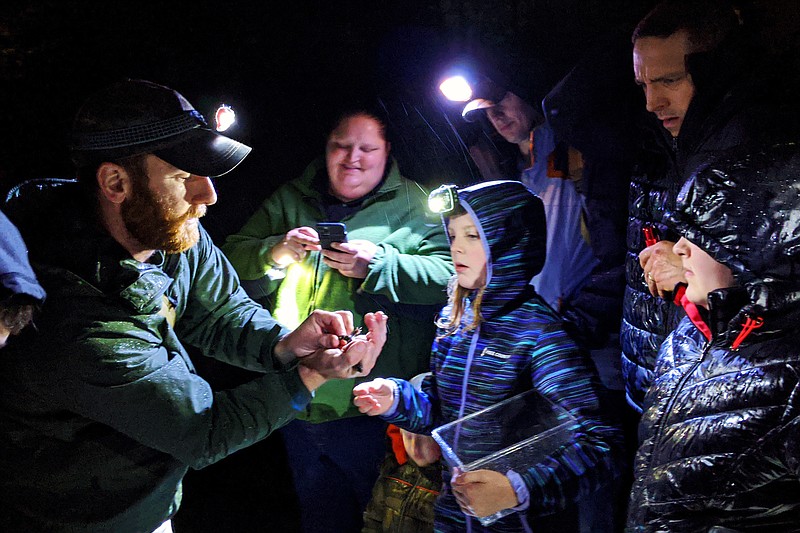 Austin Lambert, left, a naturalist at Runge Nature Center, shows families how to tell whether a salamander is male or female during the center's annual Salamander Prowl in 2020. Observations made by people who work outside of the science professions can often provide valuable data for biologists and researchers.