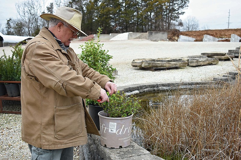 Gerry Tritz/News Tribune
Green Horizons Garden Center employee Gary Johnson prunes plants Sunday at the local nursery, preparing for spring sales.