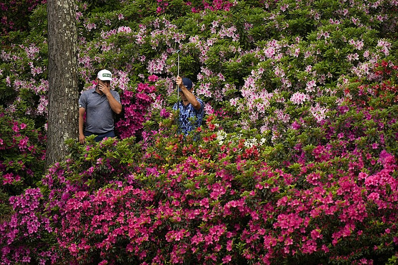Tyrrell Hatton and Billy Horschel stand in the azaleas Friday after Hatton lost his ball on the 13th hole during the second round of the Masters in Augusta, Ga.
