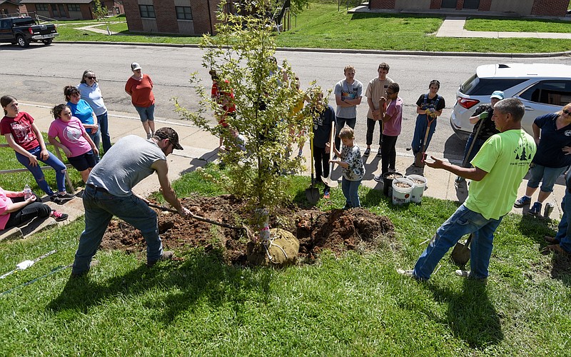 Jefferson City Housing Authority taps energy of youth to plant trees