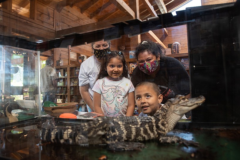 Alexsis and Aihden Martinez — along with their mother, Ashley, and grandma, Sandra — peer into the tank holding "Allie-Gator," a female alligator displayed by the Arkansas Game and Fish Comission during the Arkansas Travel Center's National Travel and Tourism Week celebration.