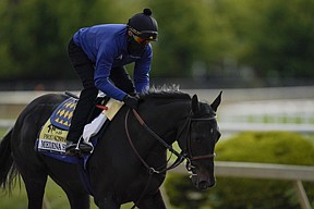 Medina Spirit cleared to run; Preakness back to semi-normal | Texarkana ...