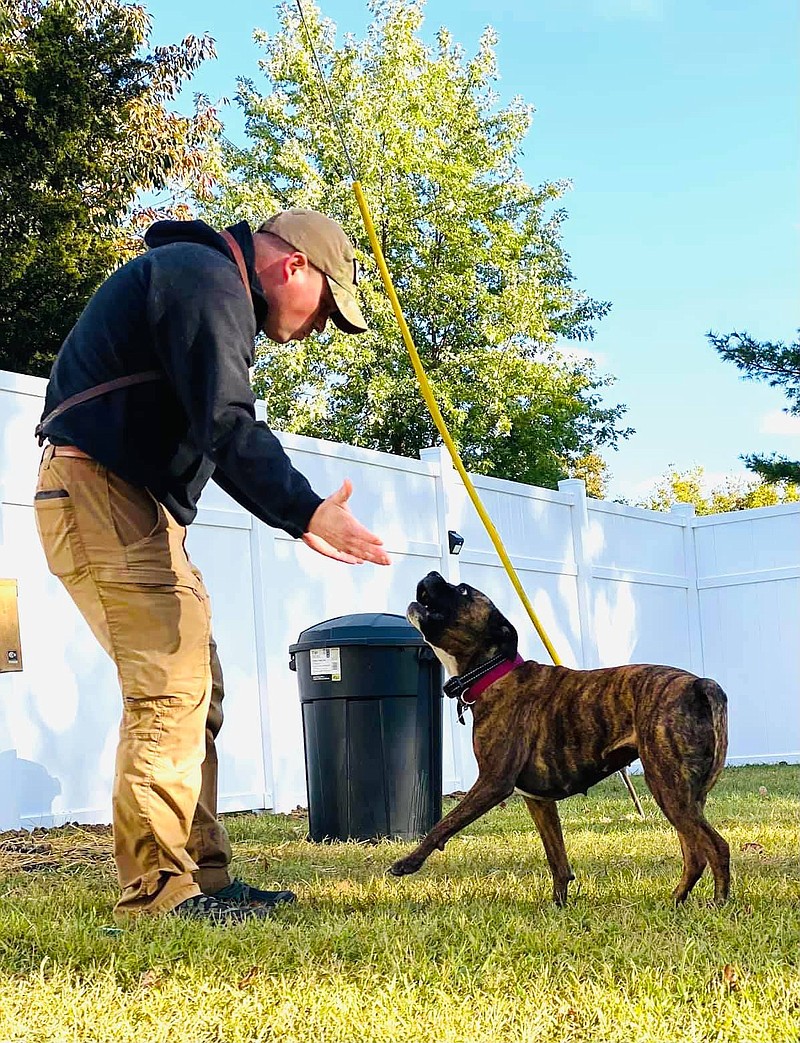 Dog trainer Steve Matulevich works with a dog at Smokin Guns Working Dog Club, a training facility in Holts Summit. Matulevich has been training dogs for 18 years.