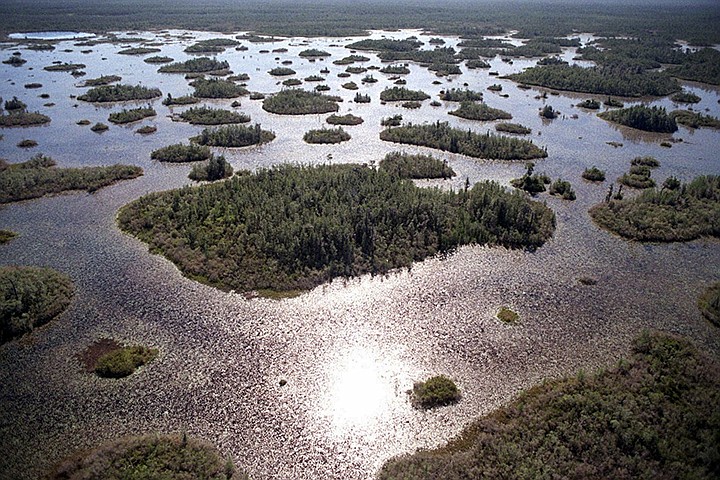 In this April 3, 1997 file photo, the Okefenokee National Wildlife Refuge in southeast Ga.,  is seen. A battle over whether to allow mining near the vast wildlife refuge in the Okefenokee Swamp rests with Georgia state regulators after federal agencies declared they no longer have oversight.  (Stuart Tannehill/The Florida Times-Union via AP, File)