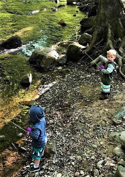 <p>Dorothy Kleindienst/FULTON SUN</p><p> 2-year-old twins Dawson and Rowen fishing with daddy.</p>