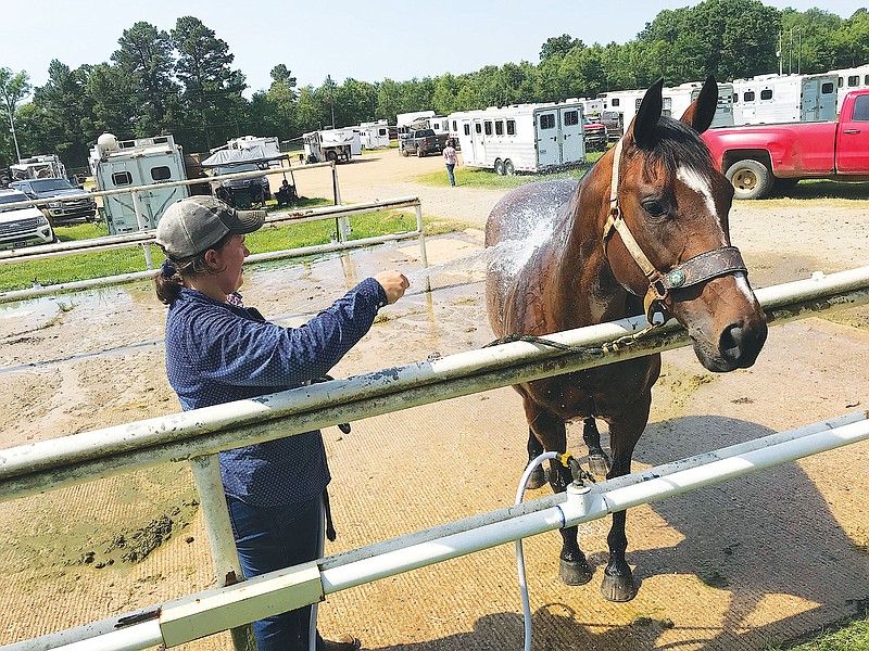Mississippi resident Allison Crabb cools her horse Dancer with a water hose Sunday at the Four States Fairgrounds. Crabb said she's competed in about 500 barrel races across the country over the last 20 years and is working on getting a professional rodeo permit.