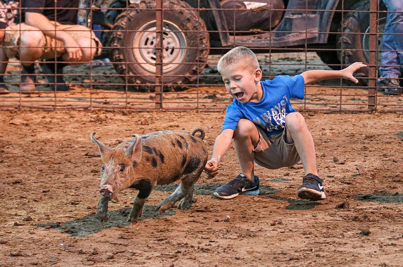 Greta Cross/ News Tribune
Jacob Swann, 6, grabs at a piglet during the greased pig catching competition on the dirt track during the Osage County Fair Friday evening at Linn Fairgrounds and Park. The competition was divided into four age categories, including under 4 years old, 5-7 years old, 8-11 years old and 12-14 years old. Children lathered their hands in soap and water before running around a closed pen after a few piglets. First through third place winners were awarded cash prizes.