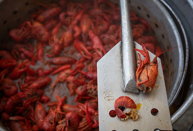 Throwing your own crawfish boil is easy, if you have the right gear. (John Pendygraft/Tampa Bay Times/TNS)