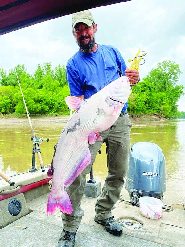 Robert Lee, of Mokane, caught a 32-pound blue catfish that had white coloring due to leucism on the Missouri River.