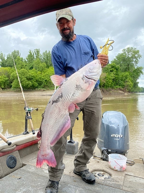 Mid-Missouri fisherman reels in 'white' blue catfish | Jefferson City ...