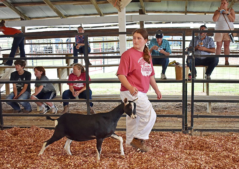 Kamilah Dixson shows a goat in the 4H/FFA Dairy Goat Show Sunday, July 25, 2021, at the Jefferson City Jaycees Cole County Fair.