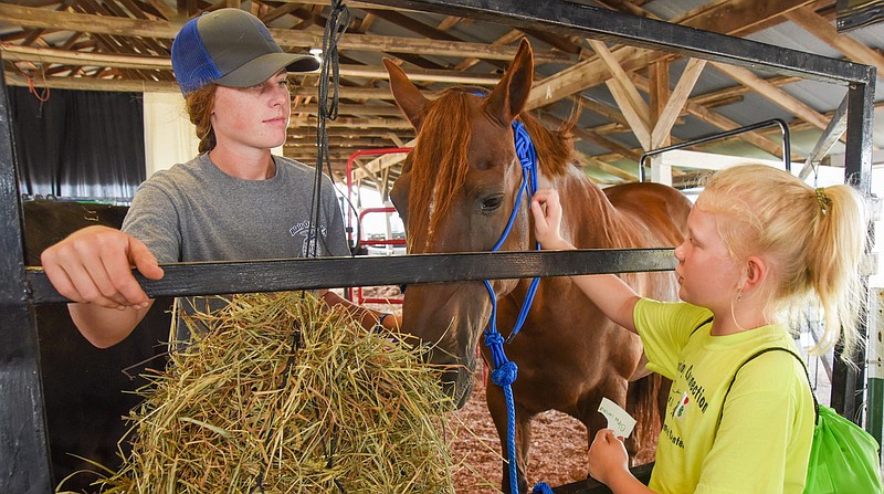 Alyssa Bunting, 9, reaches through the fence to pet Shag, a 20-year-old horse ridden by Adeline Thessen, left. Thessen bought the horse, a cow and other animals for the children to pet and ask questions. Thursday was the Making Memories Day at the Jefferson City Jaycees Cole County Fair, during which a number of FFA and 4-H participants brought their pets and farm animals for young children to be able to touch and pet if they wanted. 