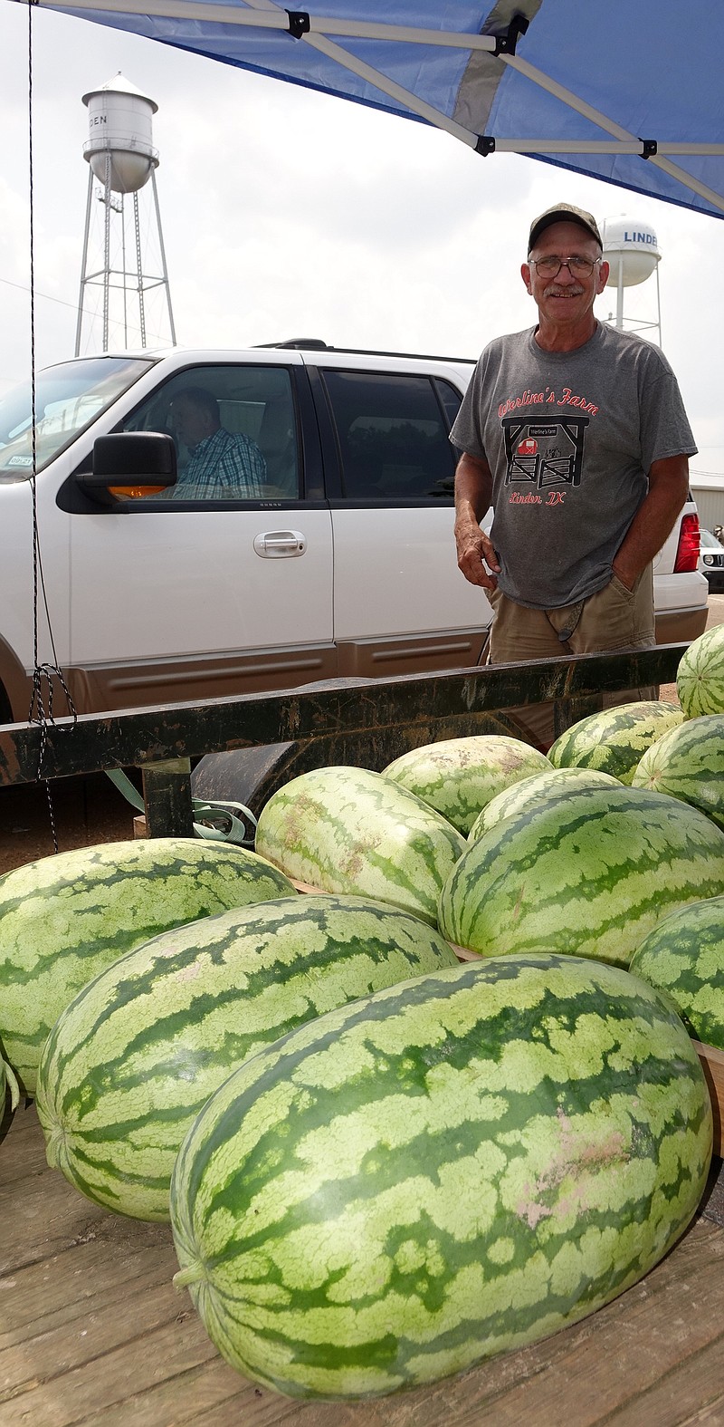 Ray Werline of Naples, Texas, is showing the local Jubilee cross watermelons he's been able to salvage from an unusual melon season. He is in Linden with its two water towers in the background, but he's usually at his hometown of Naples, where he often wins the watermelon contests held during the Naples Watermelon Festival.