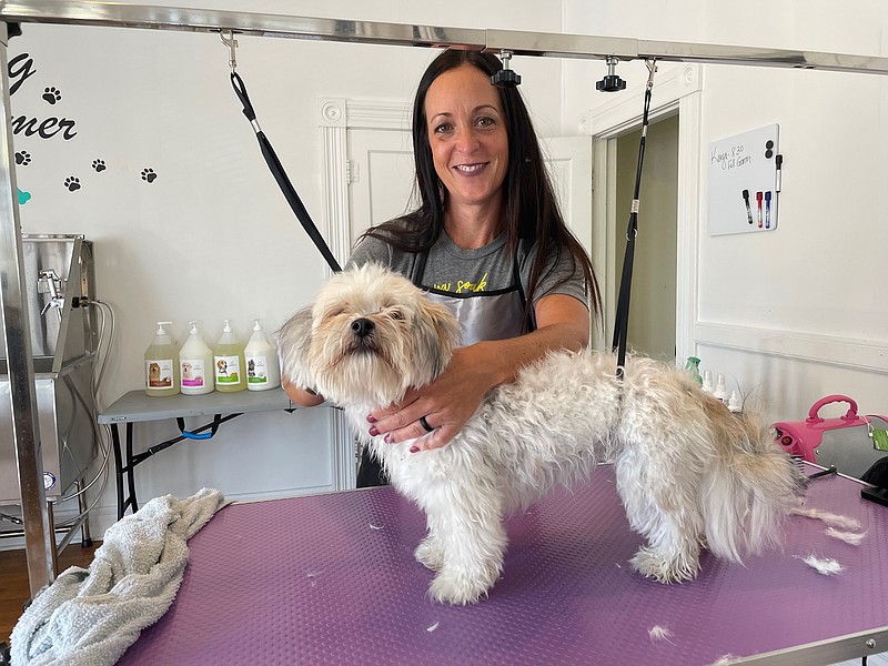 <p>Democrat photo/Kaden Quinn</p><p>Spa 4 Paws owner Katie Richey Parnell grooms a new dog during the first week after opening up her business on Oak Street.</p>