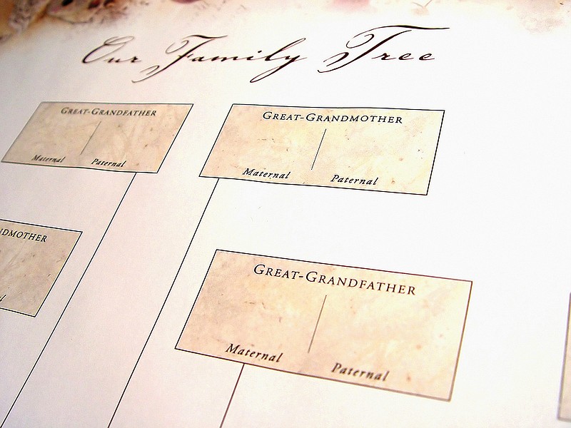 Your guide to the ultimate family tree: How to trace your lineage back centuries