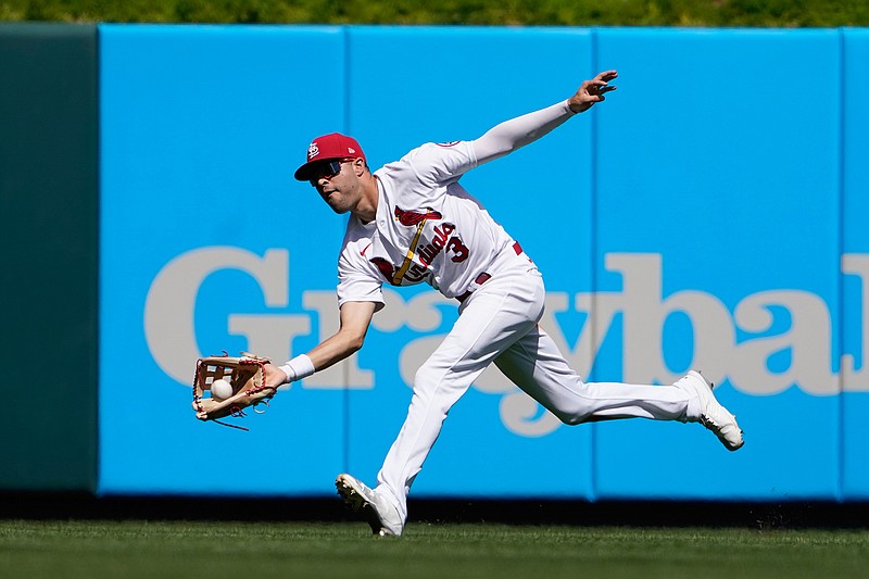 St. Louis Cardinals center fielder Dylan Carlson catches a fly ball by Los Angeles Dodgers' Max Muncy during the fifth inning of a baseball game Thursday, Sept. 9, 2021, in St. Louis. (AP Photo/Jeff Roberson)