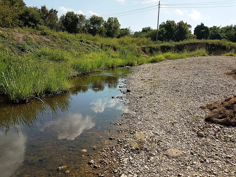 Sediment buildup nearly blocks Nix Creek on Monday alongside Legion Drive in Texarkana, Ark. During a regular meeting Monday, the city Board of Directors voted to approve a $648,000 contract for work on the creek, including dredging the worst sediment deposits.